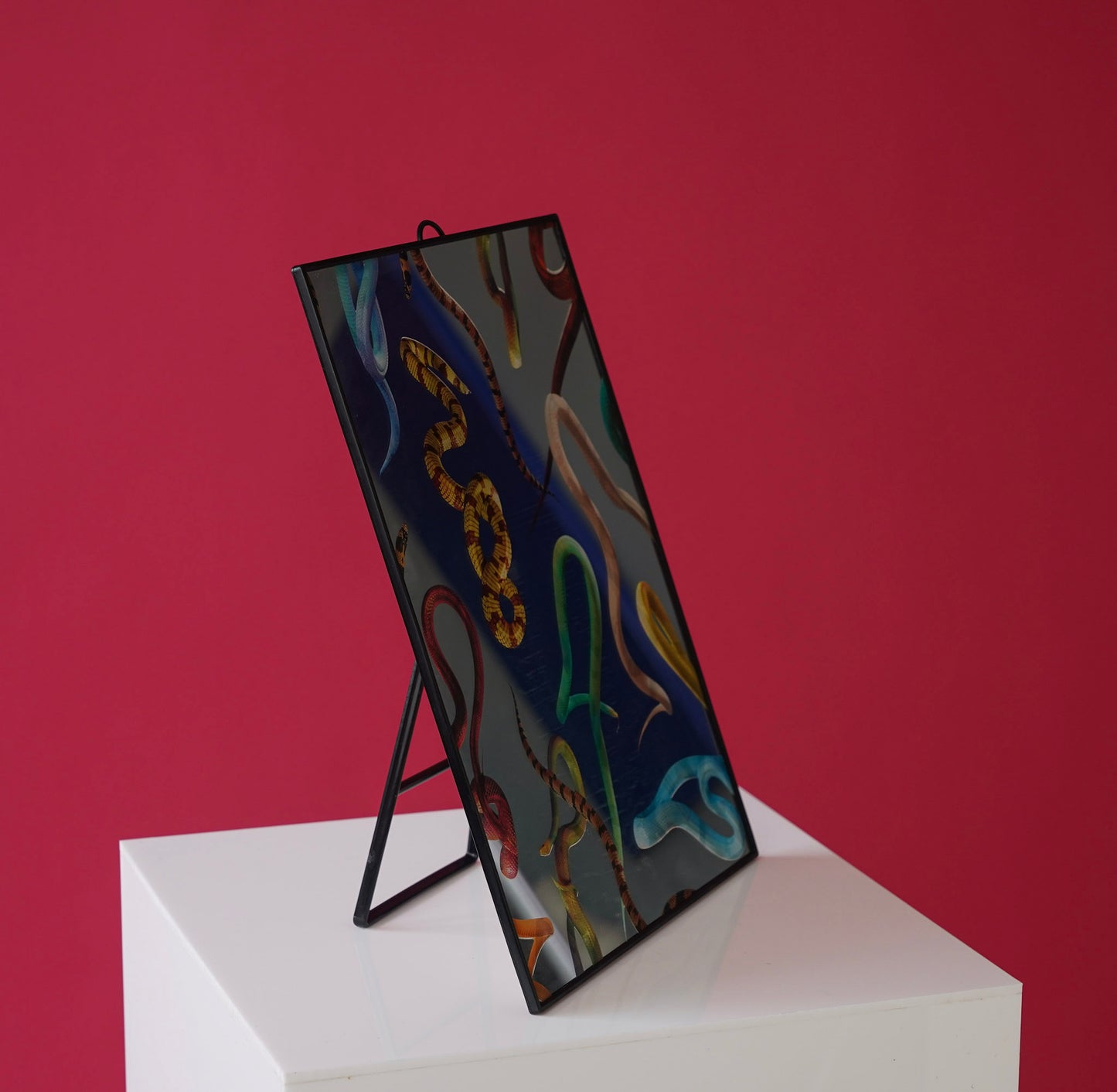 Selective Snake Mirror