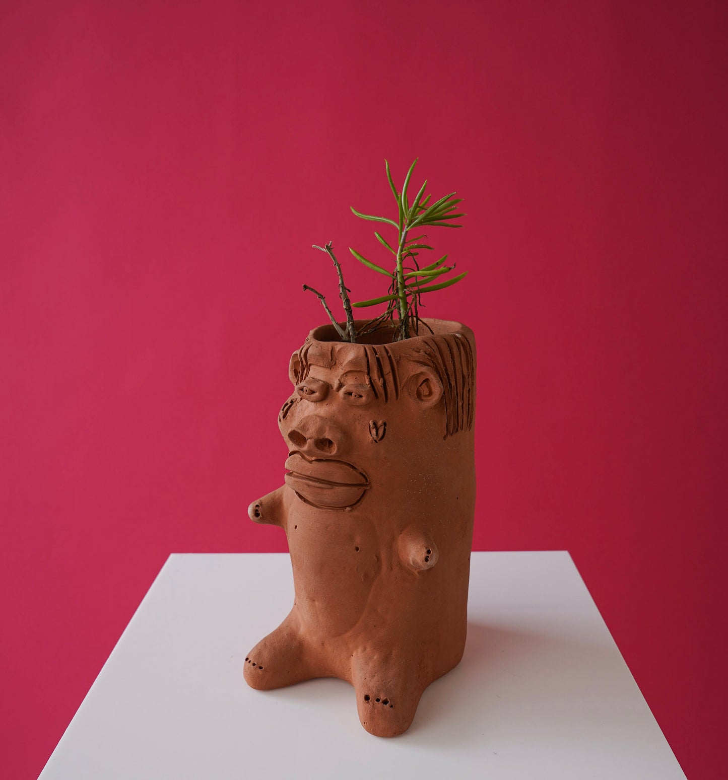 Terracotta planter by Cara de Planta