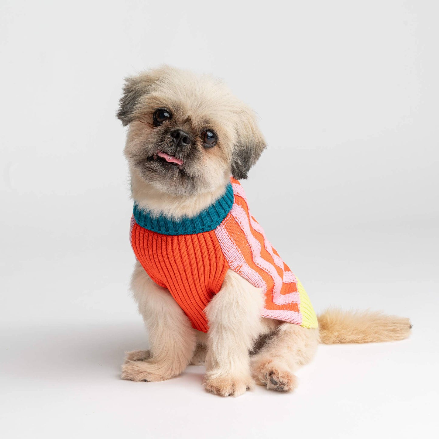 Big Stripe Dog Sweater: Lime Cobalt / L - 27-40 lbs