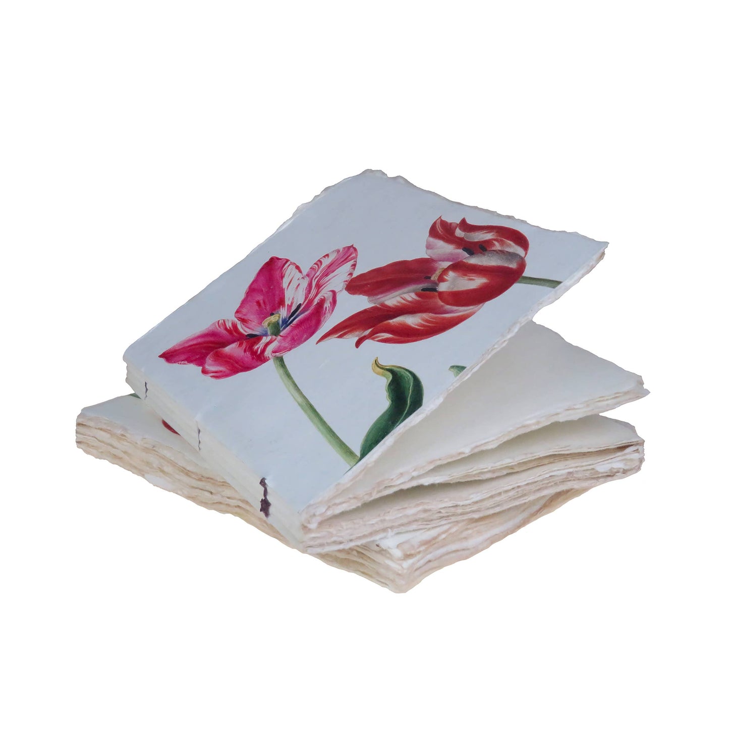 Flower parchment paper notebook: tulip pattern: 10 x 15 cm