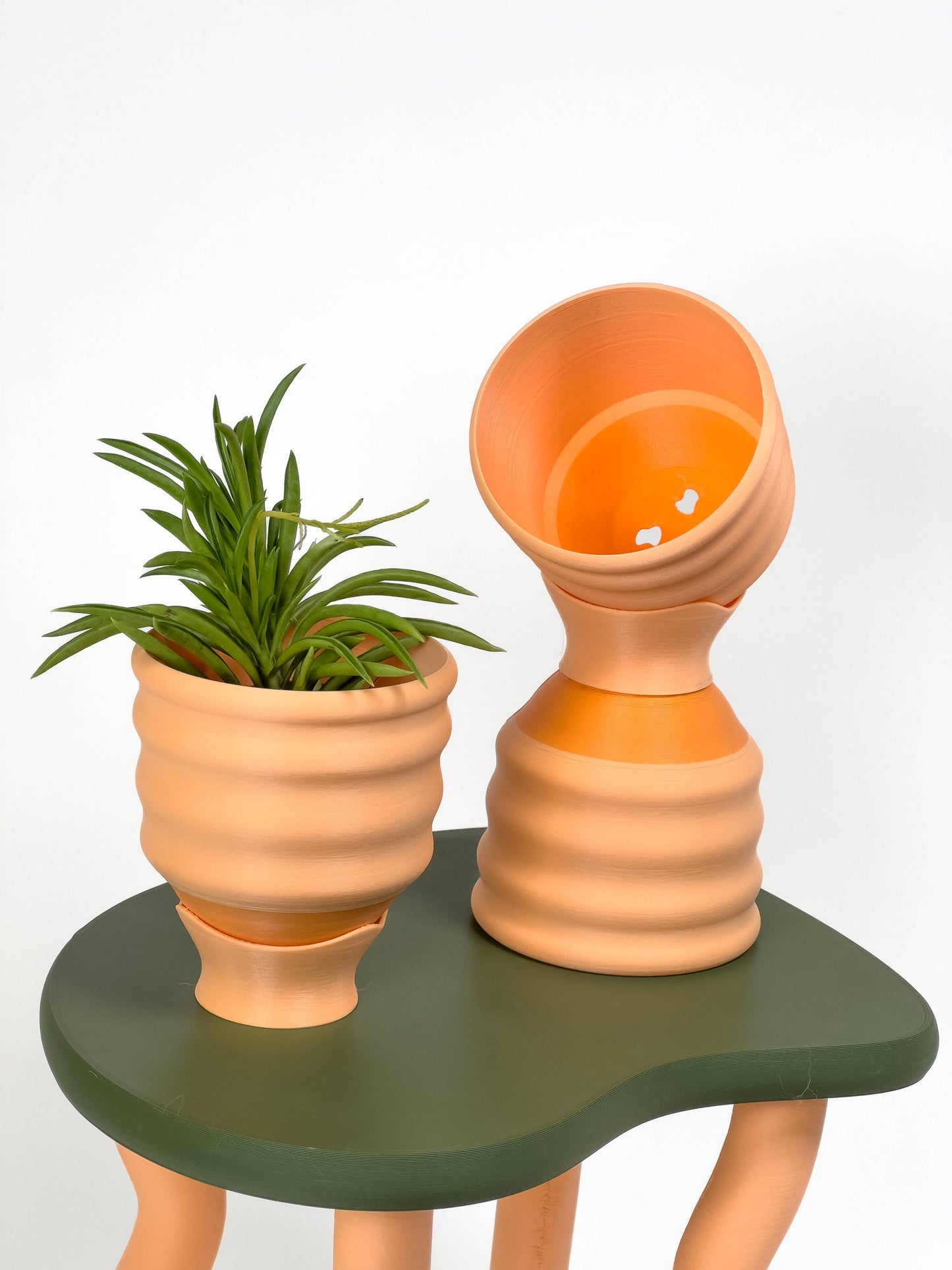 3" Small Wiggle Planters: Red + Pink