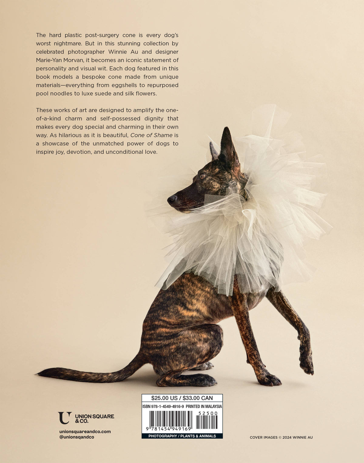 Cone of Shame: Hardcover