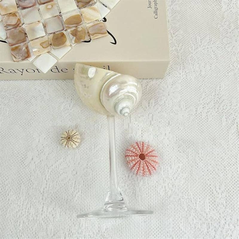 Sea Shell Glasses 4-Piece Set: Clear / 4pc