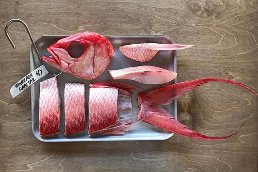 Fish butchery by Josh Niland book