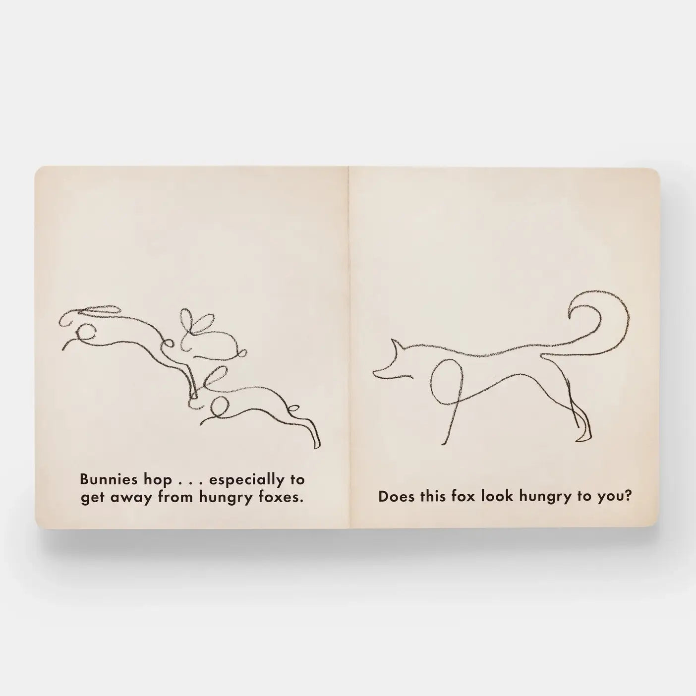 Birds & Other Animals