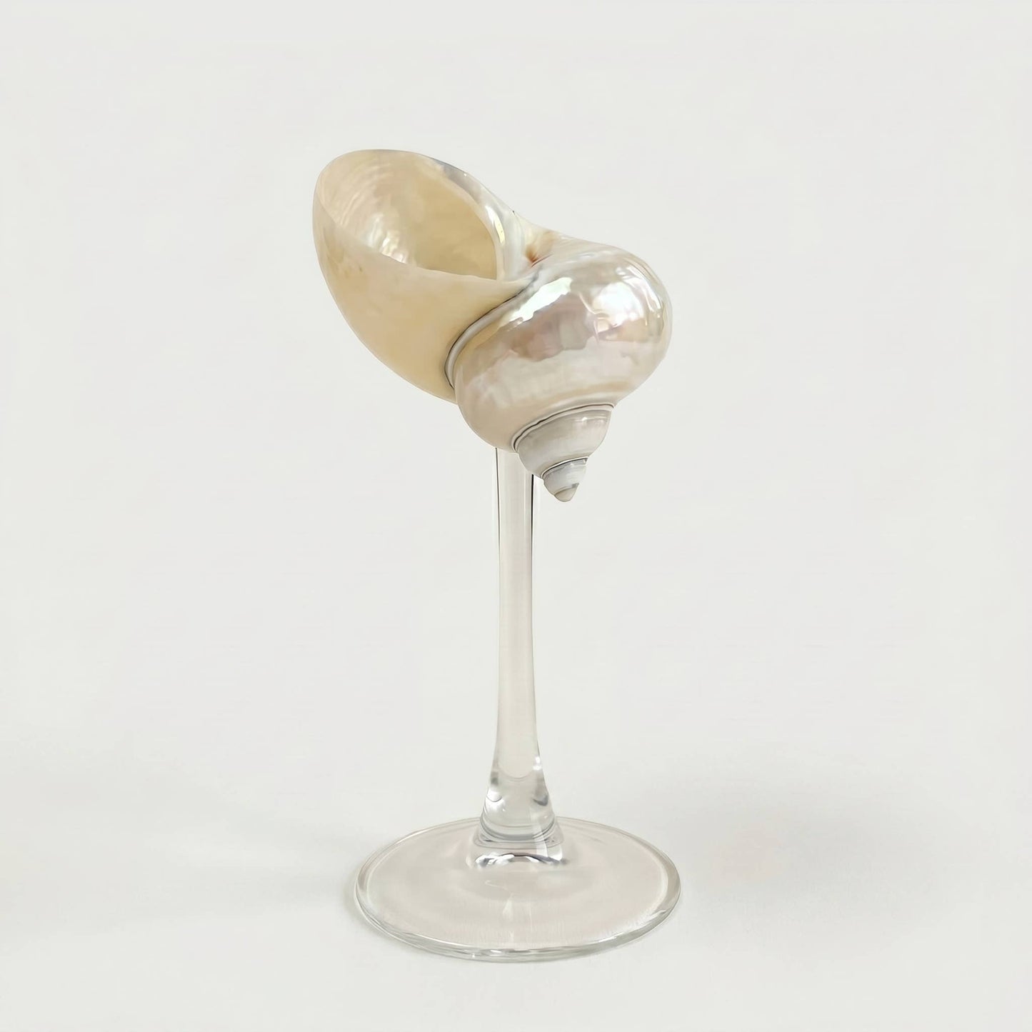 Isla Seashell Glasses, Set of 4: Gold