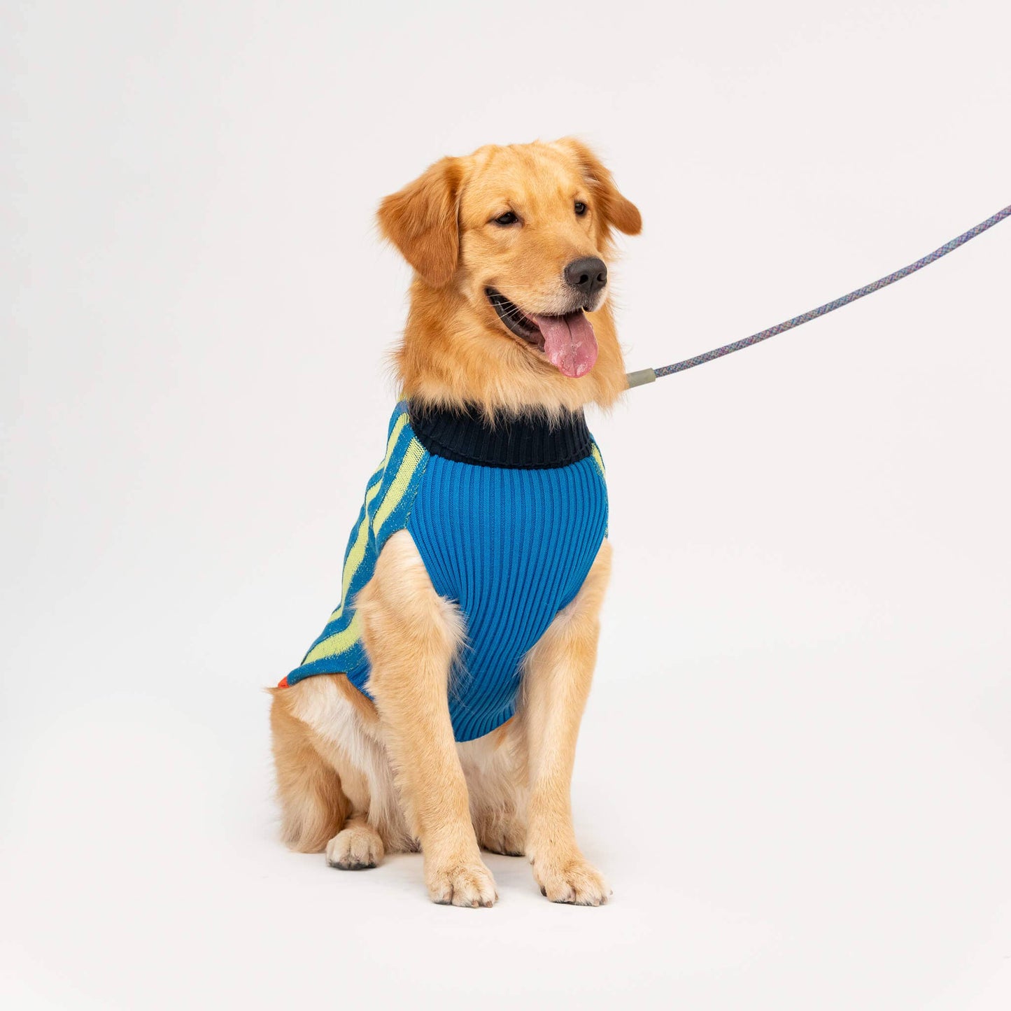 Big Stripe Dog Sweater: Lime Cobalt / L - 27-40 lbs