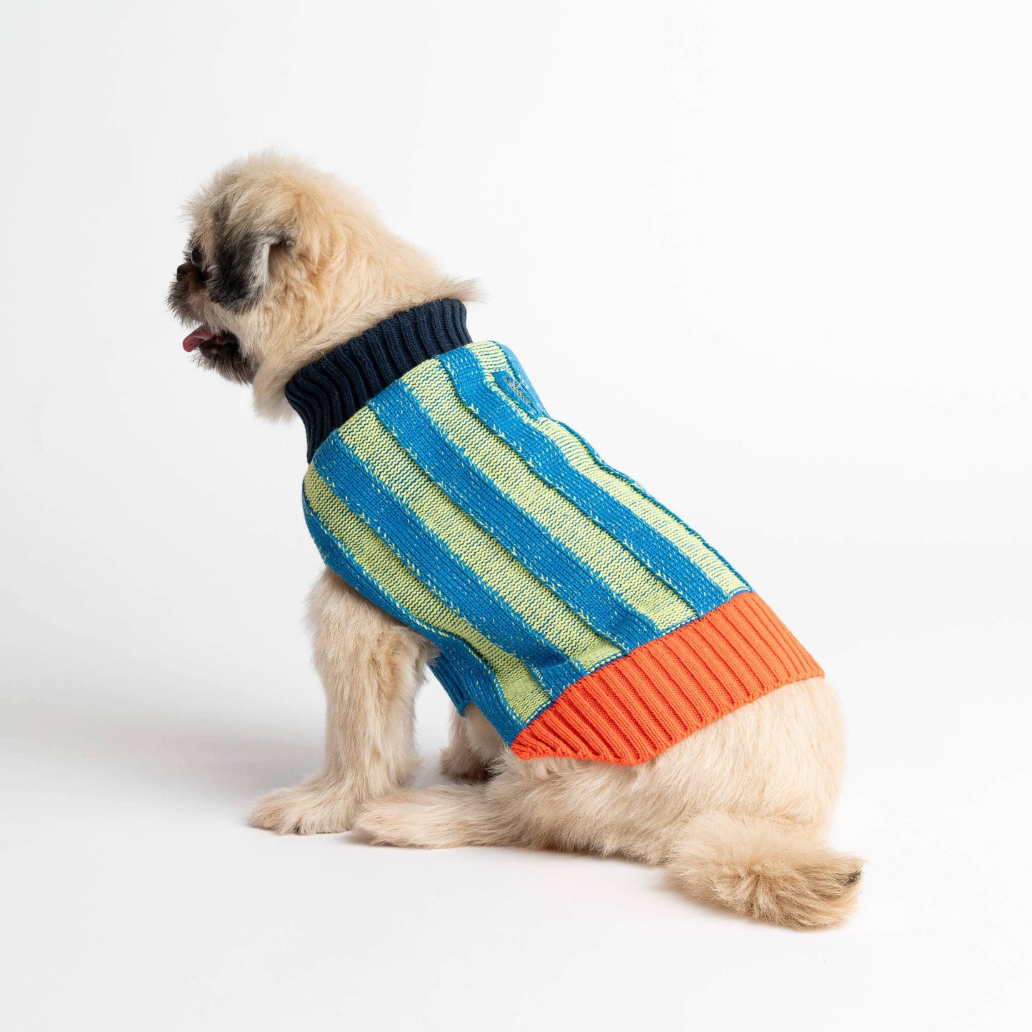 Big Stripe Dog Sweater: Lime Cobalt / L - 27-40 lbs