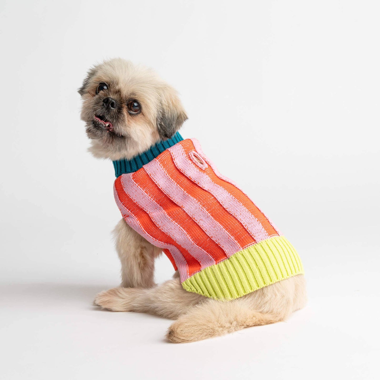 Big Stripe Dog Sweater: Lime Cobalt / L - 27-40 lbs