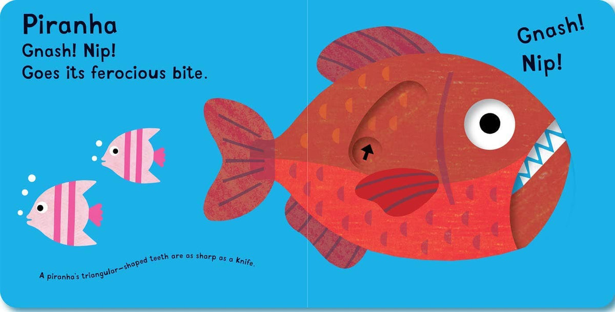 Snap! Snap! I’m a Crocodile!: Board Book