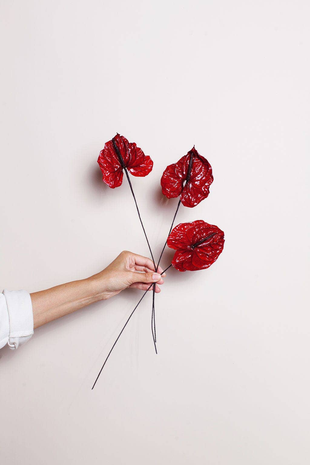 Preserved Red Anthurium