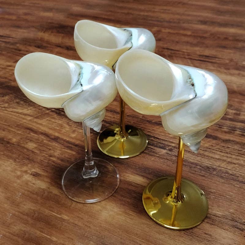 Sea Shell Glasses 4-Piece Set: Clear / 4pc