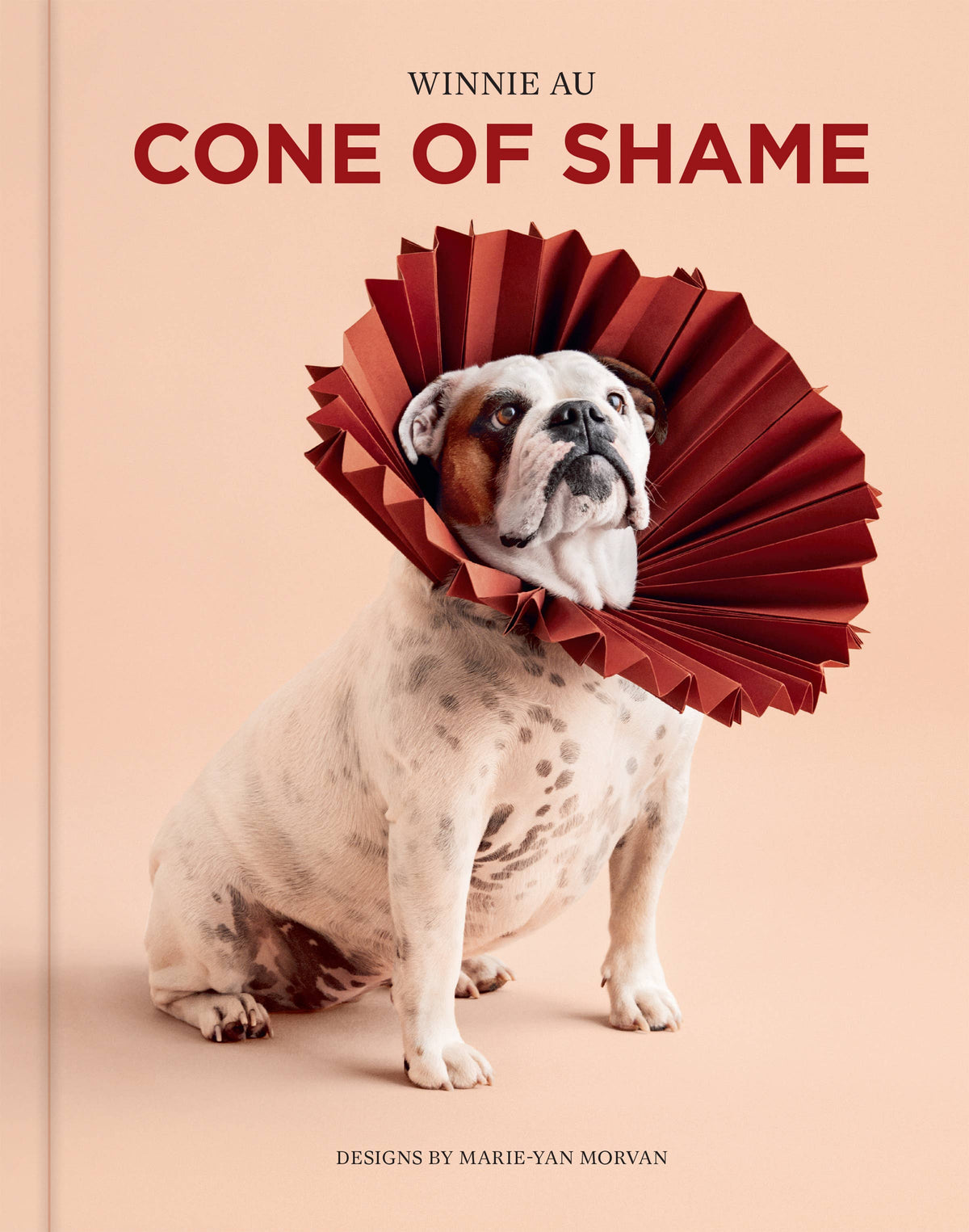 Cone of Shame: Hardcover