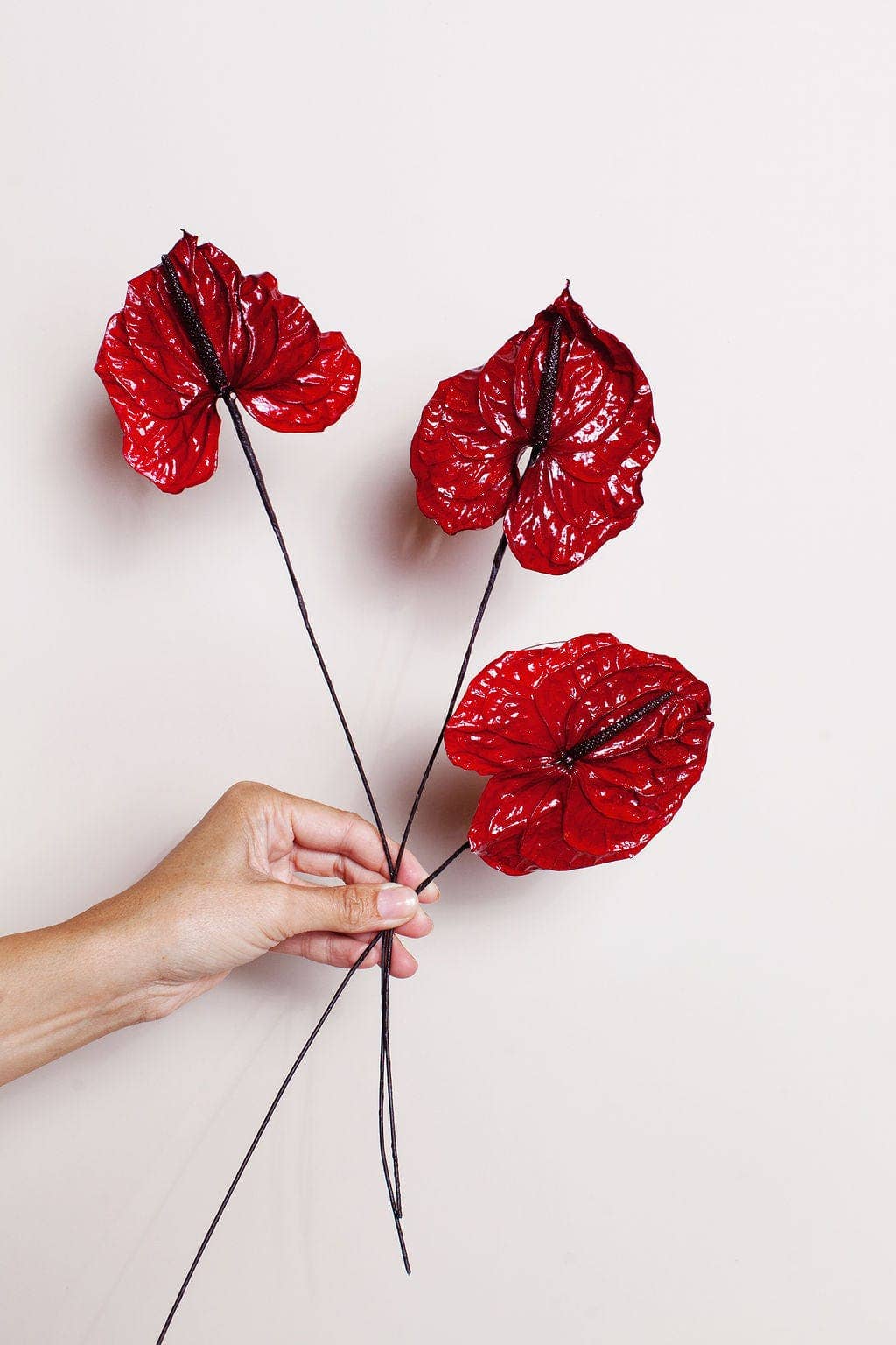 Preserved Red Anthurium