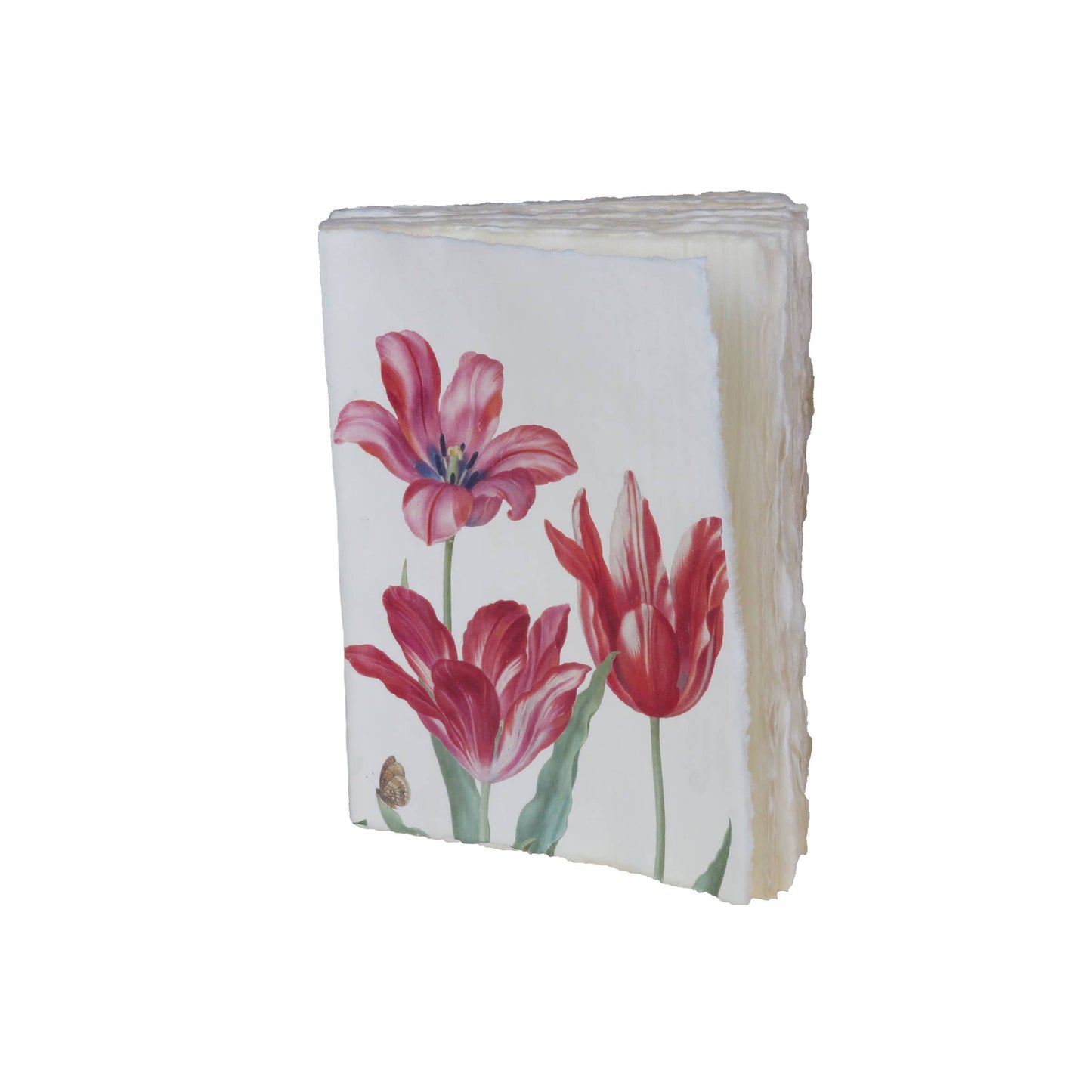 Flower parchment paper notebook: tulip pattern: 10 x 15 cm