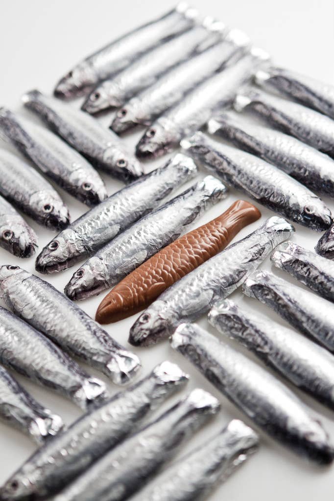 Sardines In A Net, 6