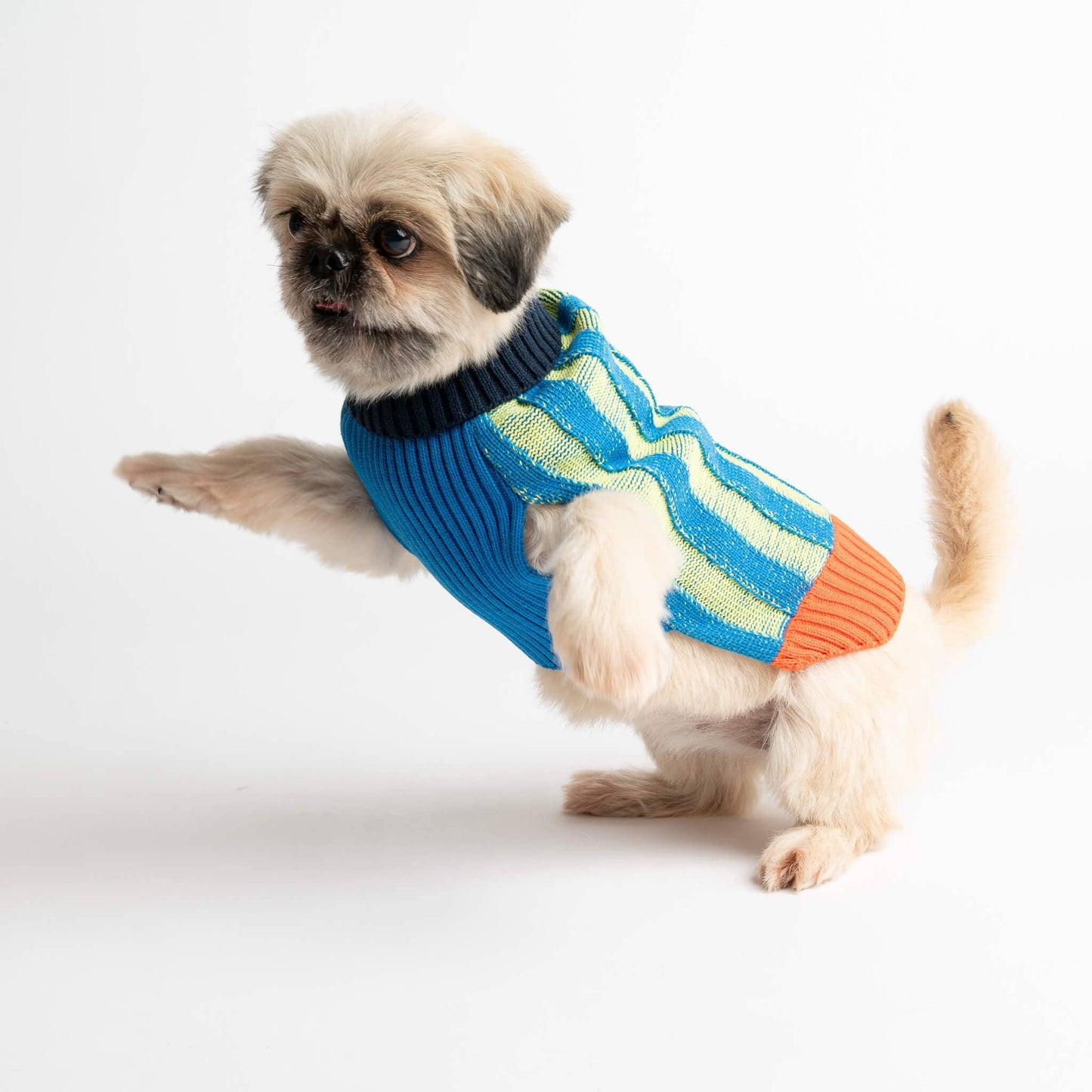 Big Stripe Dog Sweater: Lime Cobalt / L - 27-40 lbs