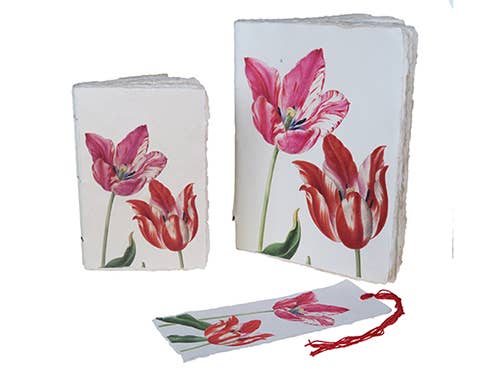Flower parchment paper notebook: tulip pattern: 10 x 15 cm