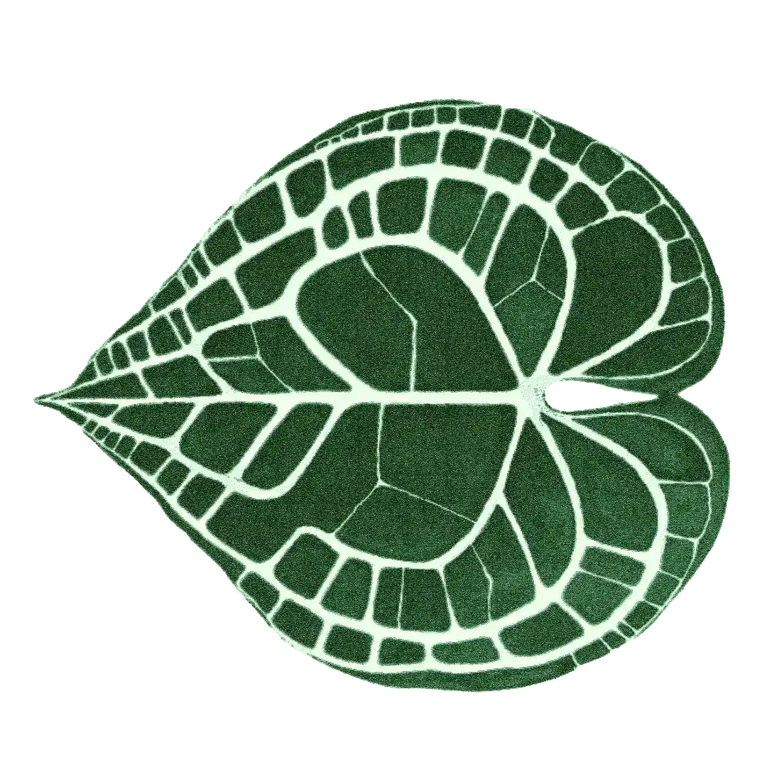 Elephant Ear Shaped Hand Tufted Wool Rug: 36" x 42"