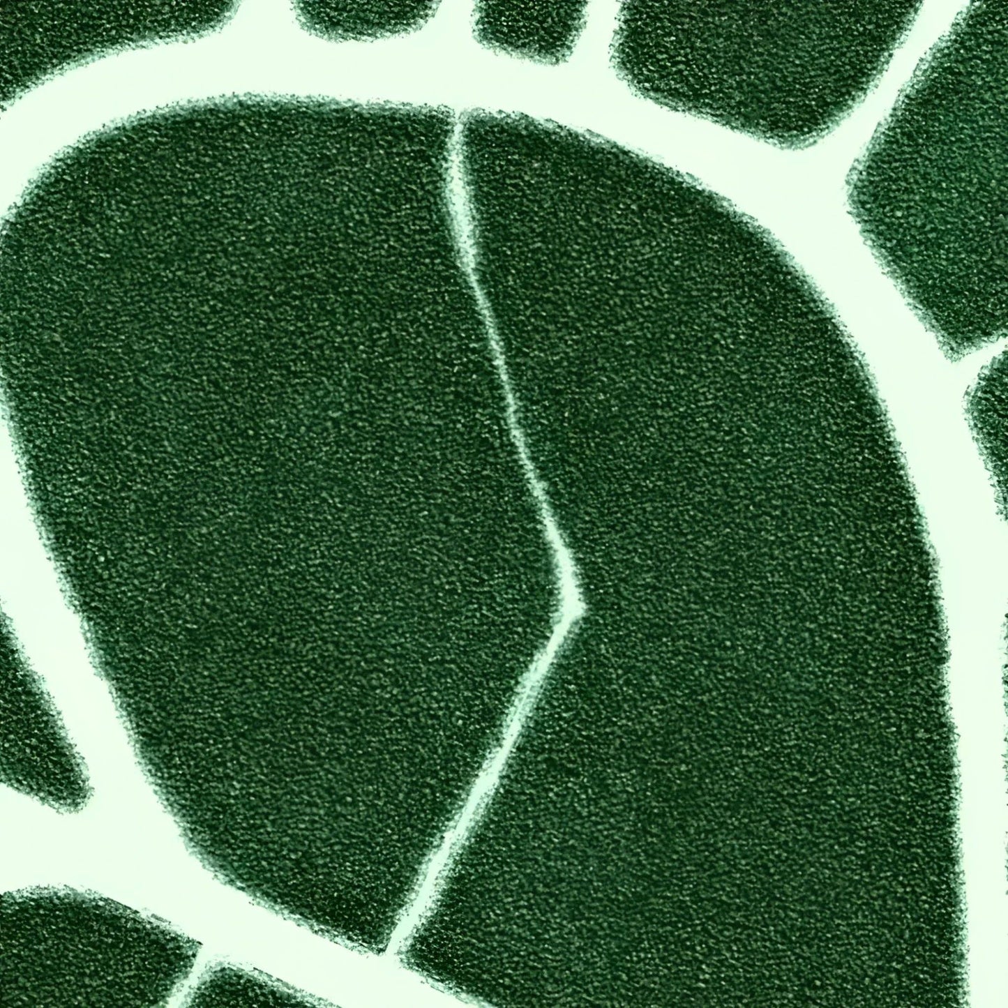Elephant Ear Shaped Hand Tufted Wool Rug: 36" x 42"