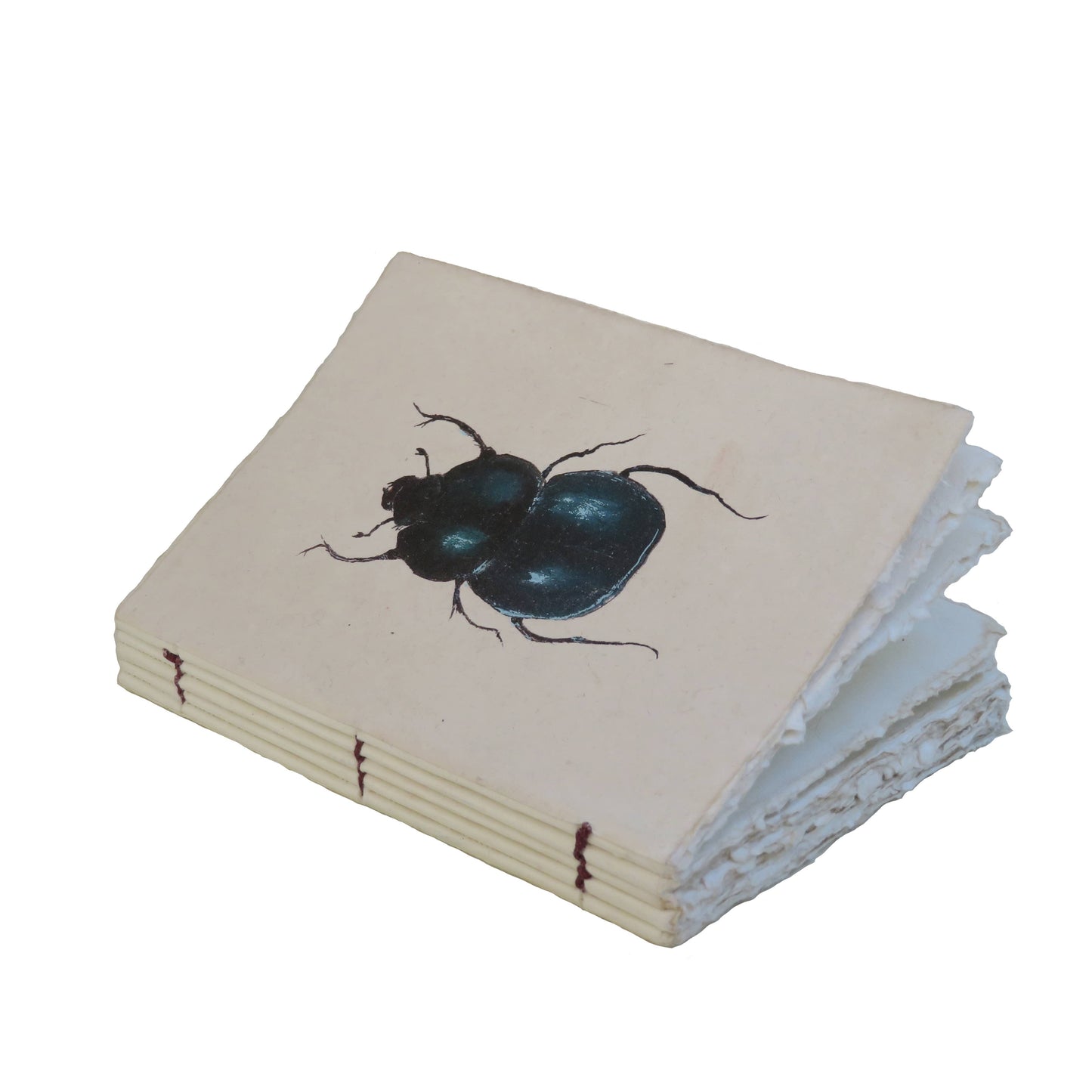 Cabinet of Curiosity Parchment Paper Notebook: 10 x 15 cm