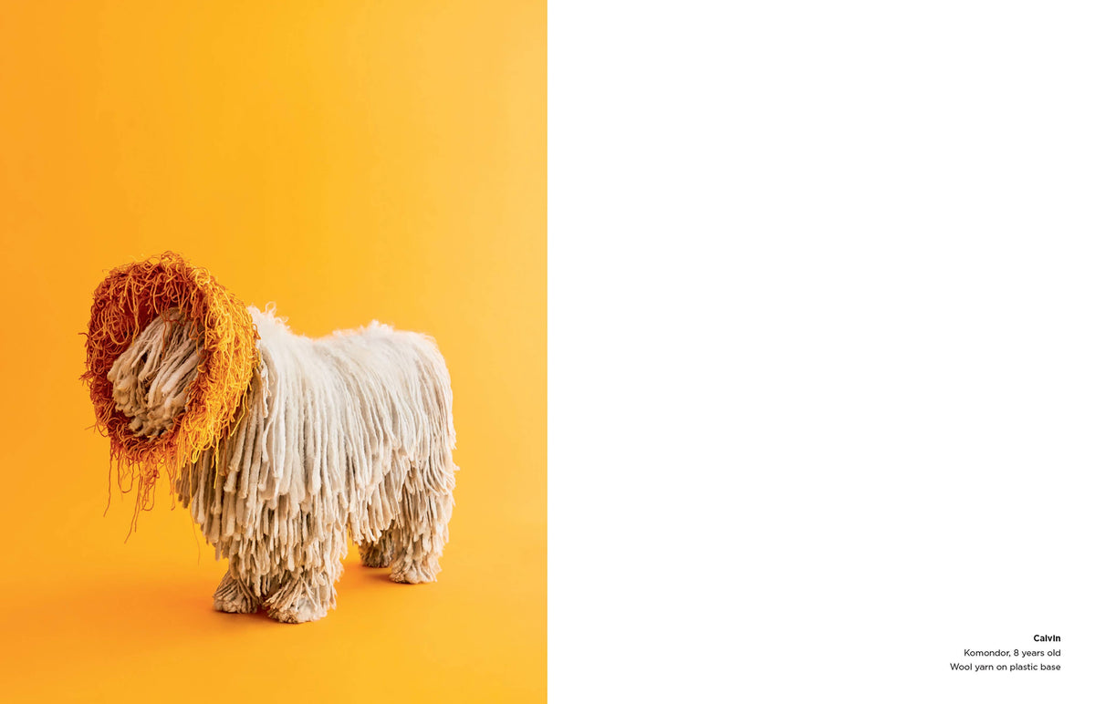Cone of Shame: Hardcover