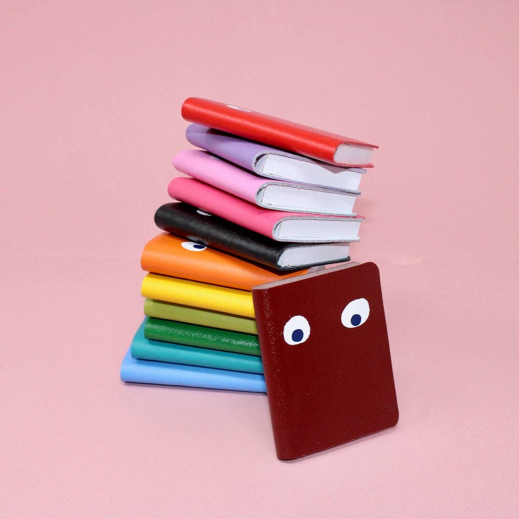 Googly Eye Mini Notebook: Red