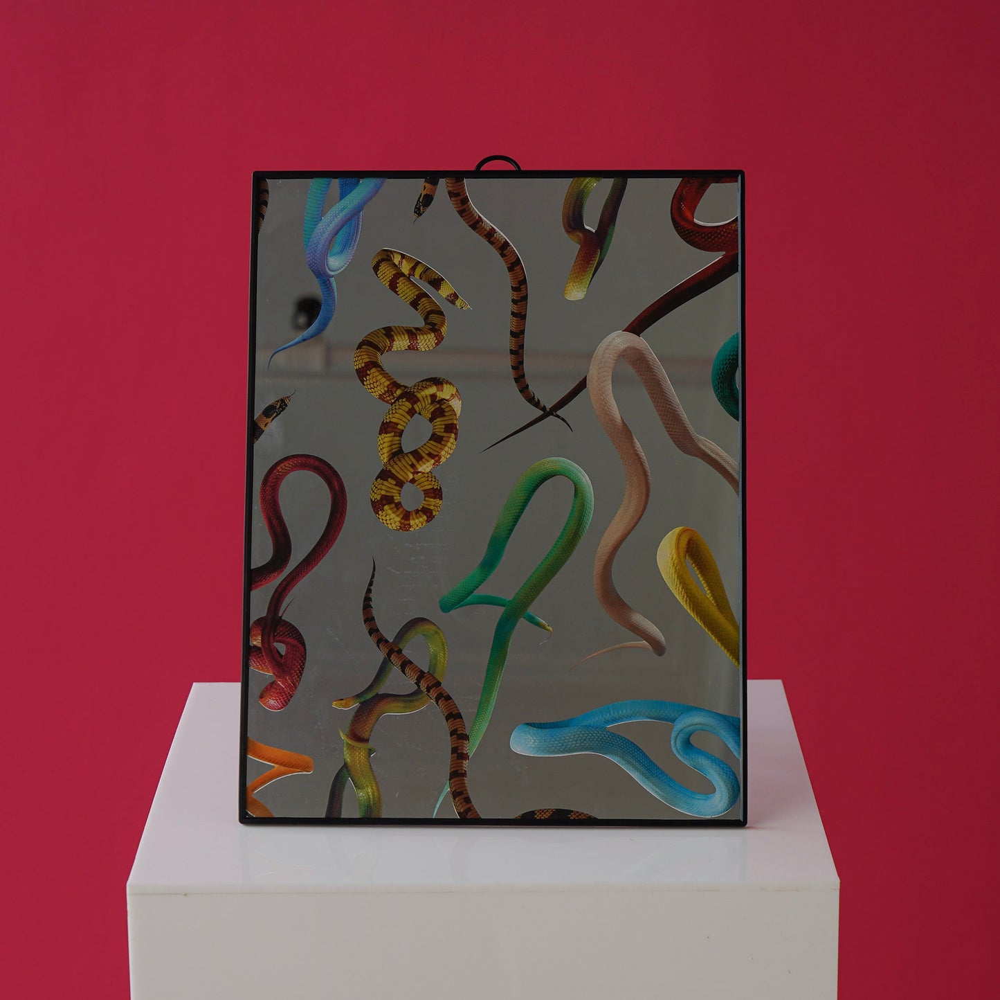 Selective Snake Mirror