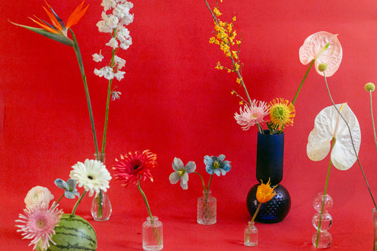 Framed giant still life