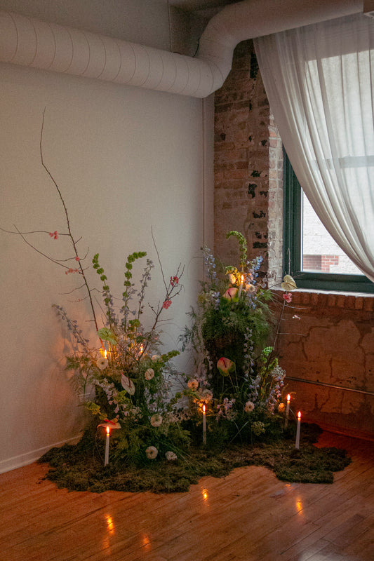 Framed meadow PHOTOGRAPH
