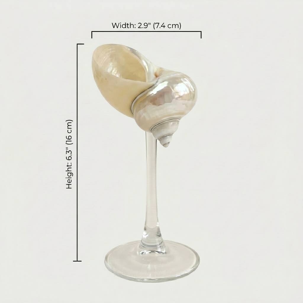 Isla Seashell Glasses, Set of 4: Gold