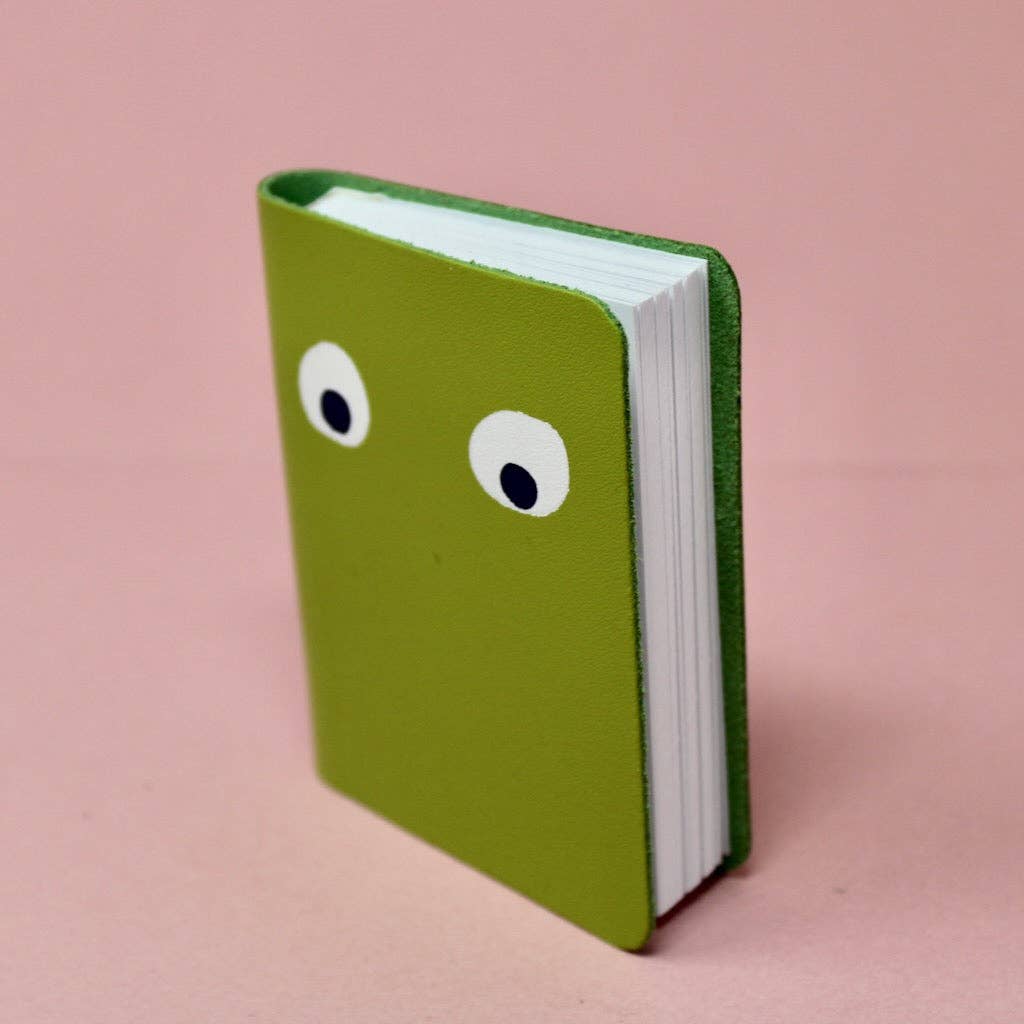 Googly Eye Mini Notebook: Red
