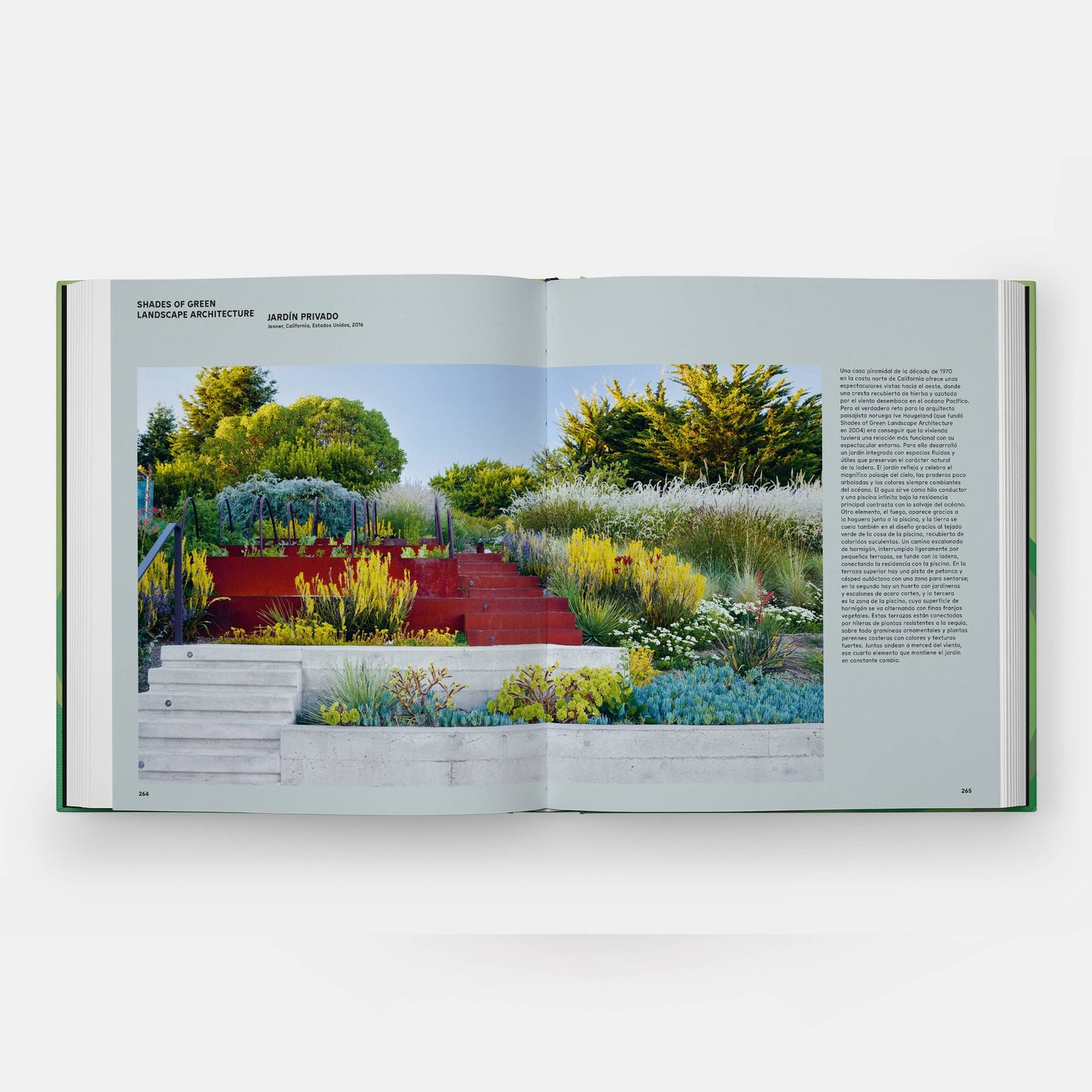 The Contemporary Garden