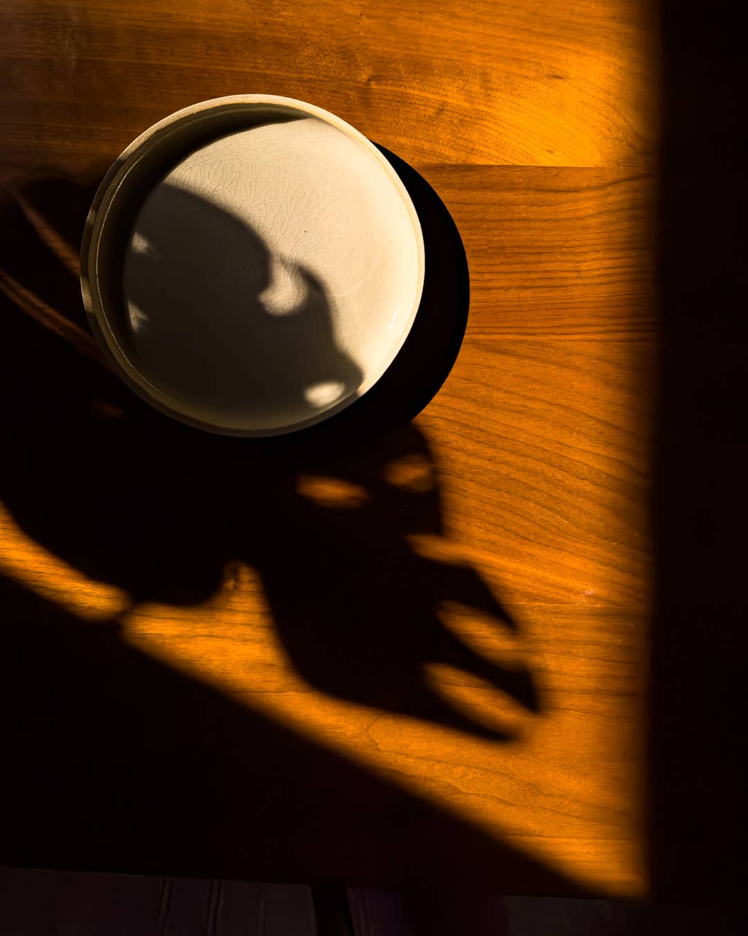 Dinner Plate: Sapphire