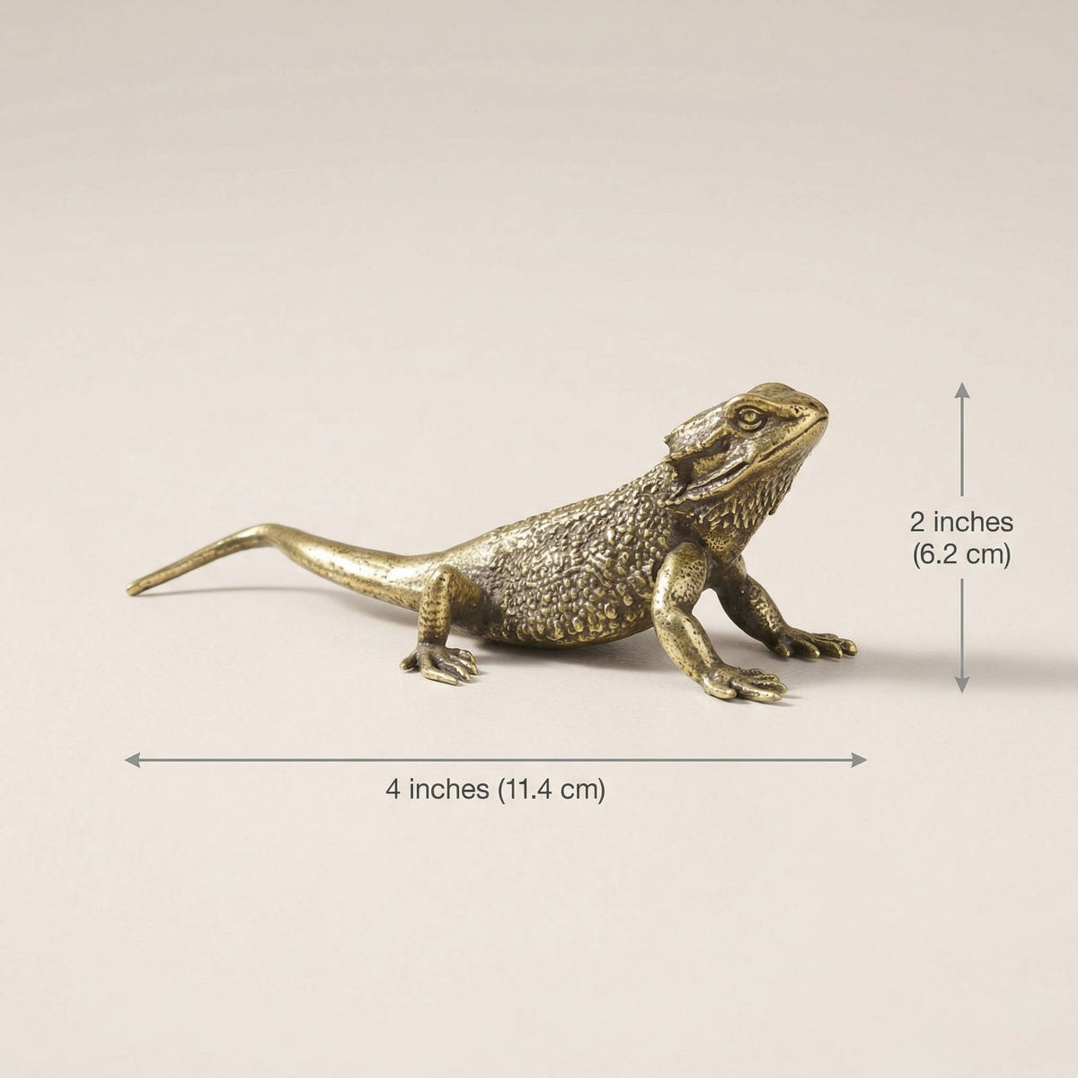 Brass Lizard