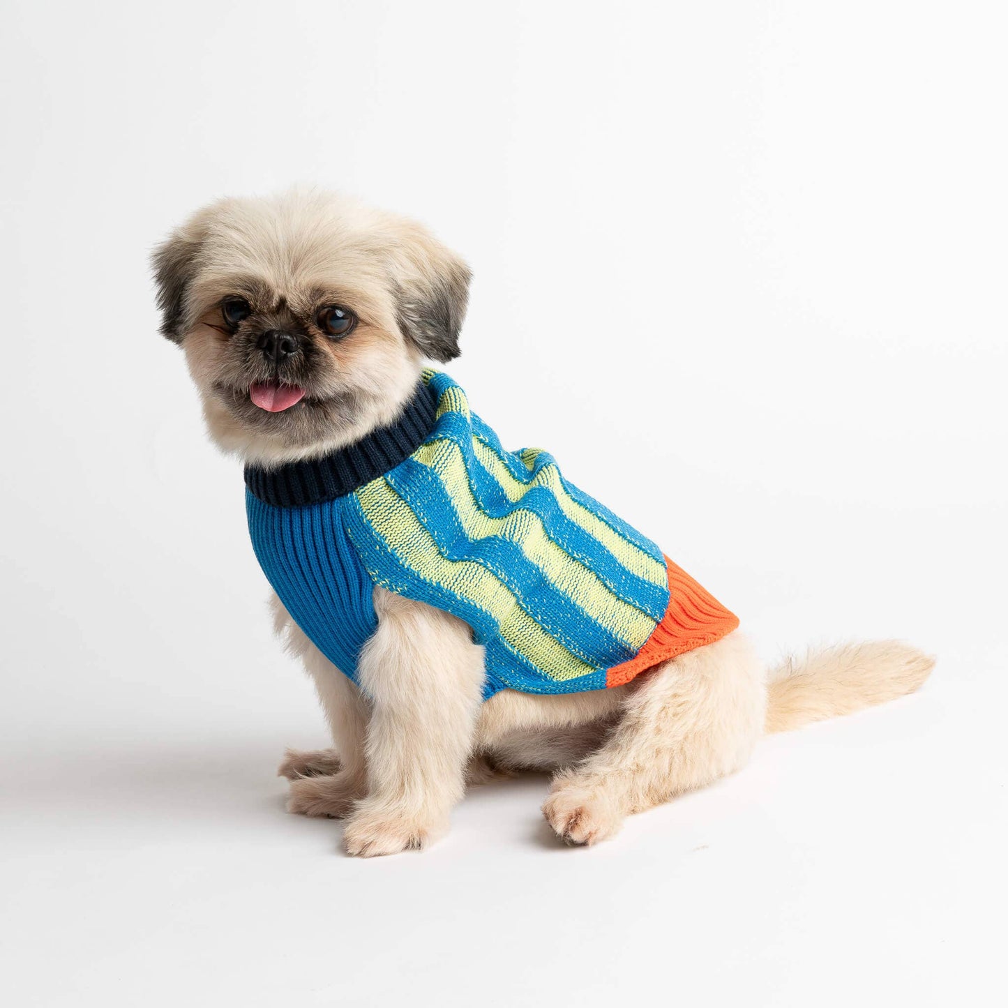 Big Stripe Dog Sweater: Lime Cobalt / L - 27-40 lbs