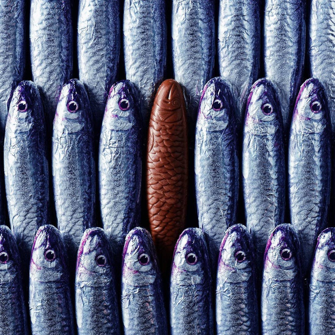 Sardines In A Net, 6