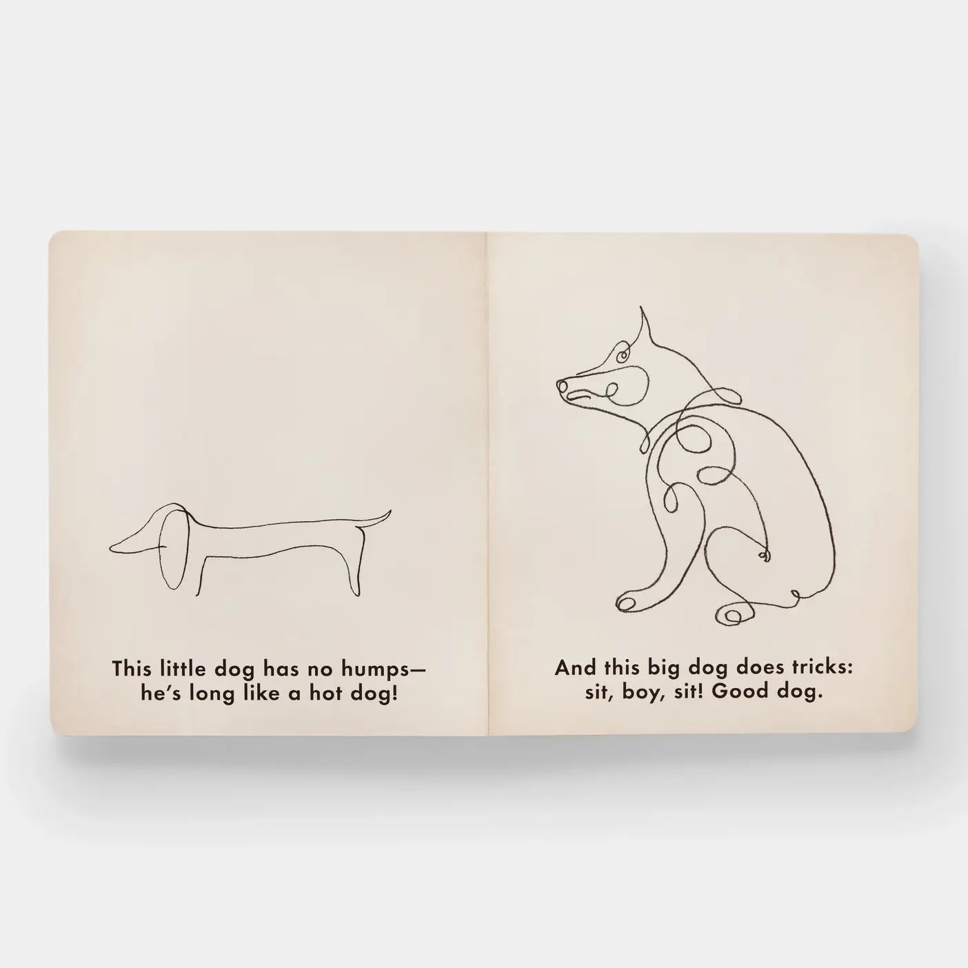 Birds & Other Animals