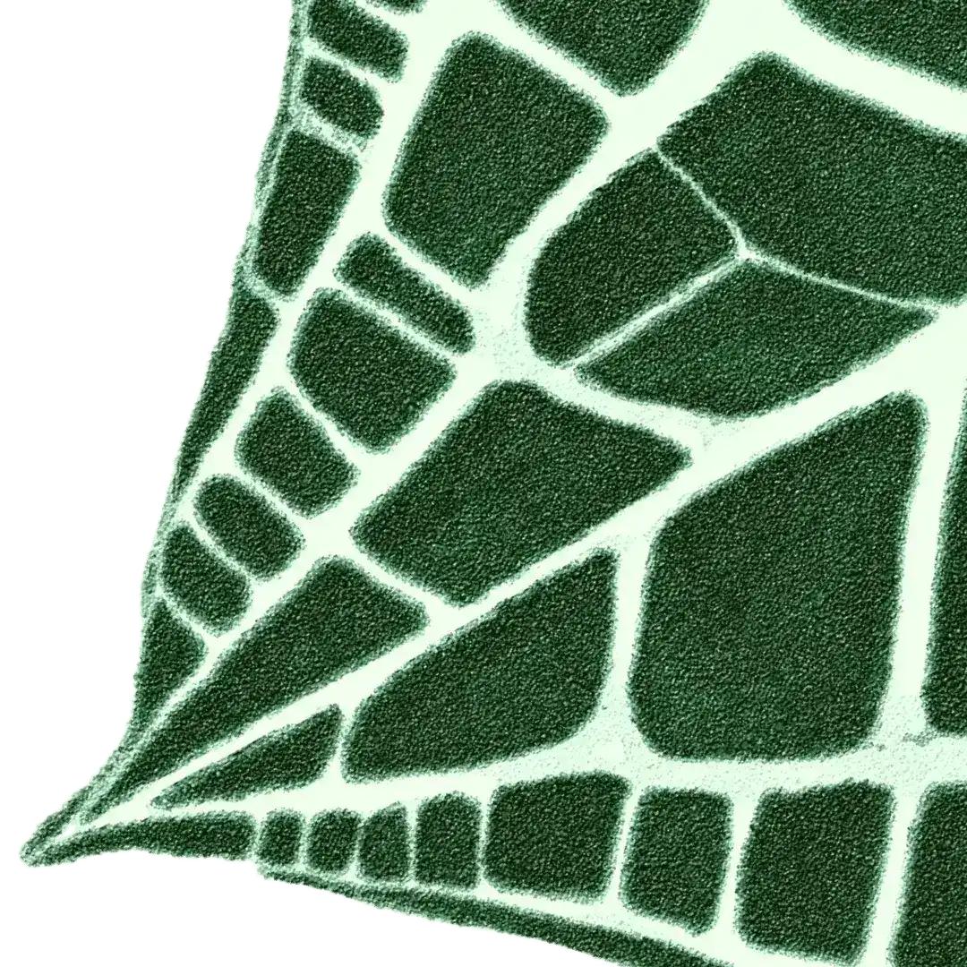 Elephant Ear Shaped Hand Tufted Wool Rug: 36" x 42"