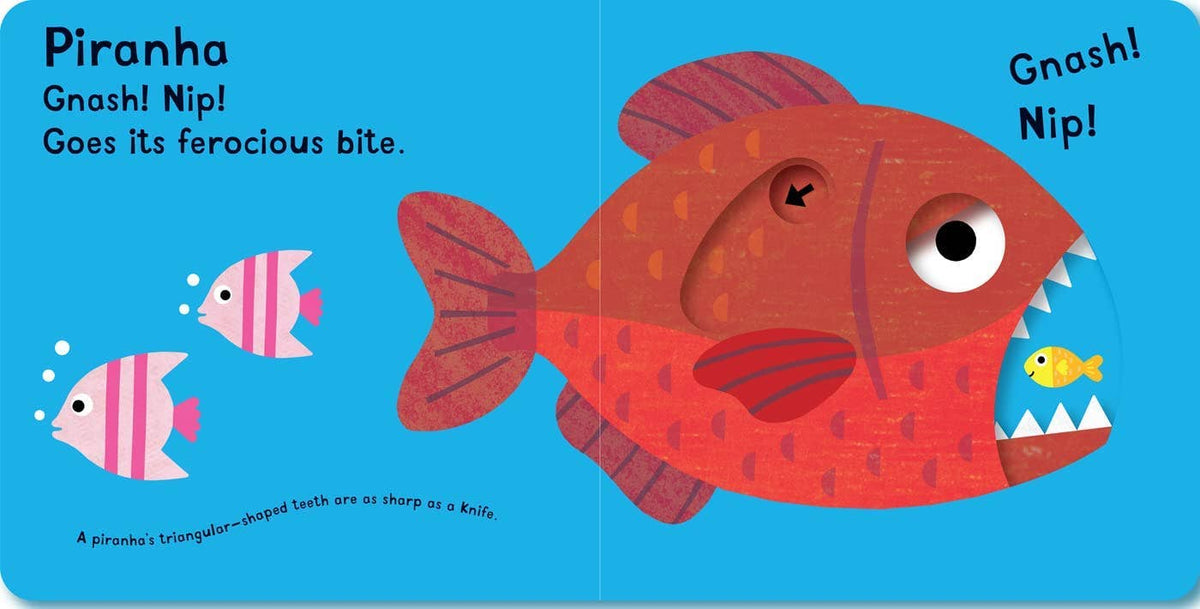 Snap! Snap! I’m a Crocodile!: Board Book